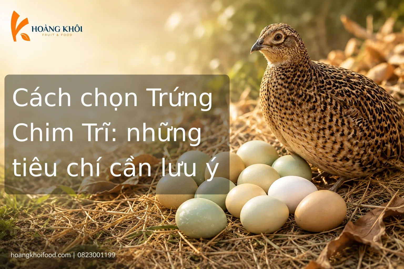 Cách chọn Trứng Chim Trĩ: những tiêu chí cần lưu ý