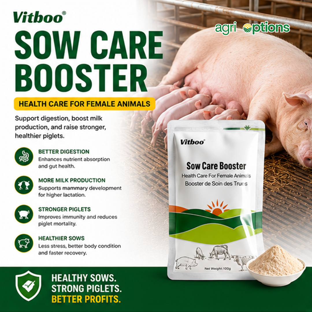 Vitboo Sow Care Booster_thumbnail_9
