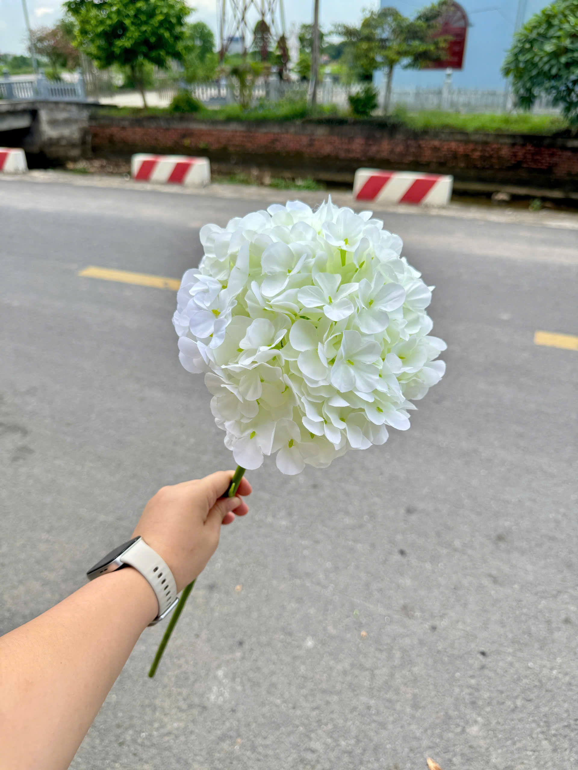 TÚ CẦU LIỀN CỔ 19K_thumbnail_10