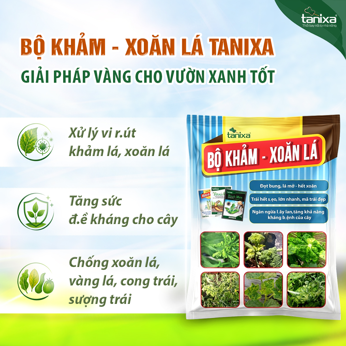 Bộ Khảm - Xoăn lá Tanixa (KM)_thumbnail_1