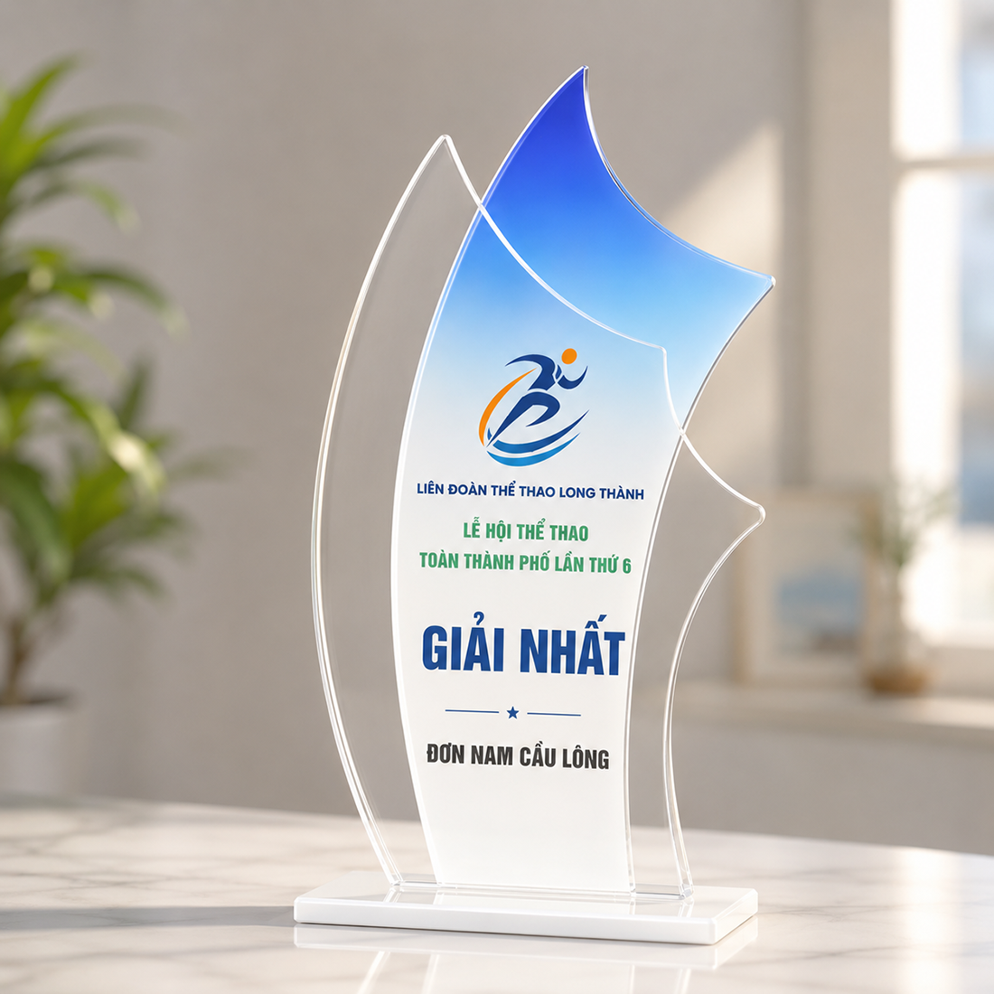 Kỷ Niệm Chương Mica - Cúp Mica_thumbnail_9