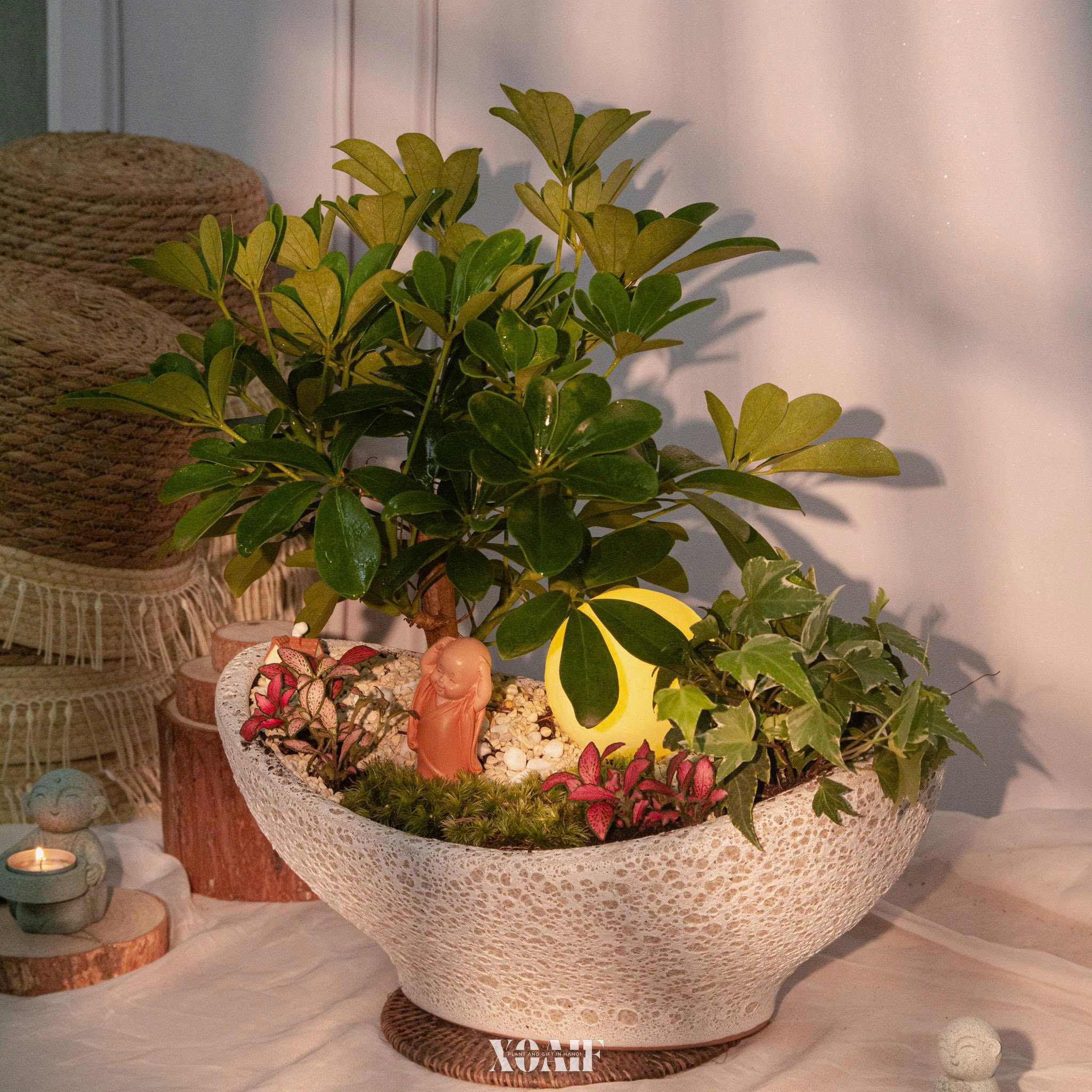 SET MIX NGŨ GIA BÌ CHẬU ĐĨNH 