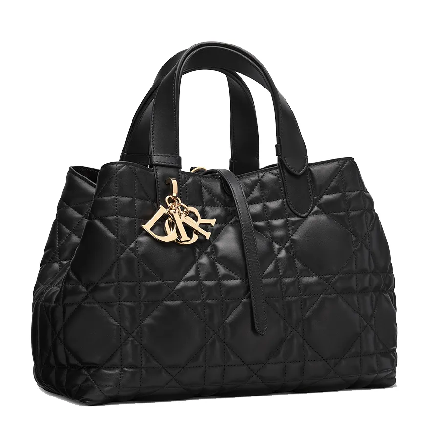 Dior Medium Toujours Bag
