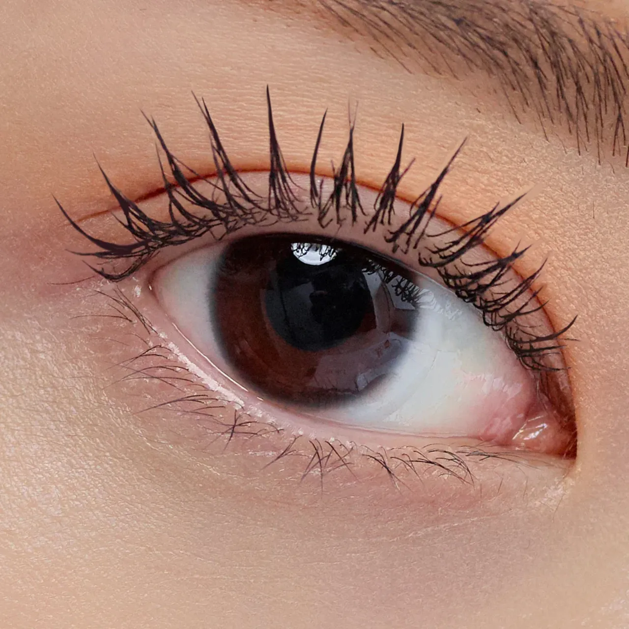 MASCARA Clio CONG MI, CHỐNG TRÔI_thumbnail_8