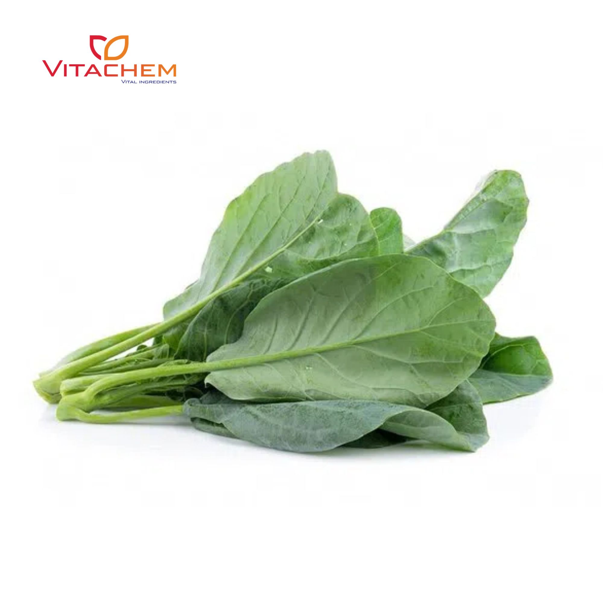 Cải bó xôi hữu cơ - 250g_thumbnail_2