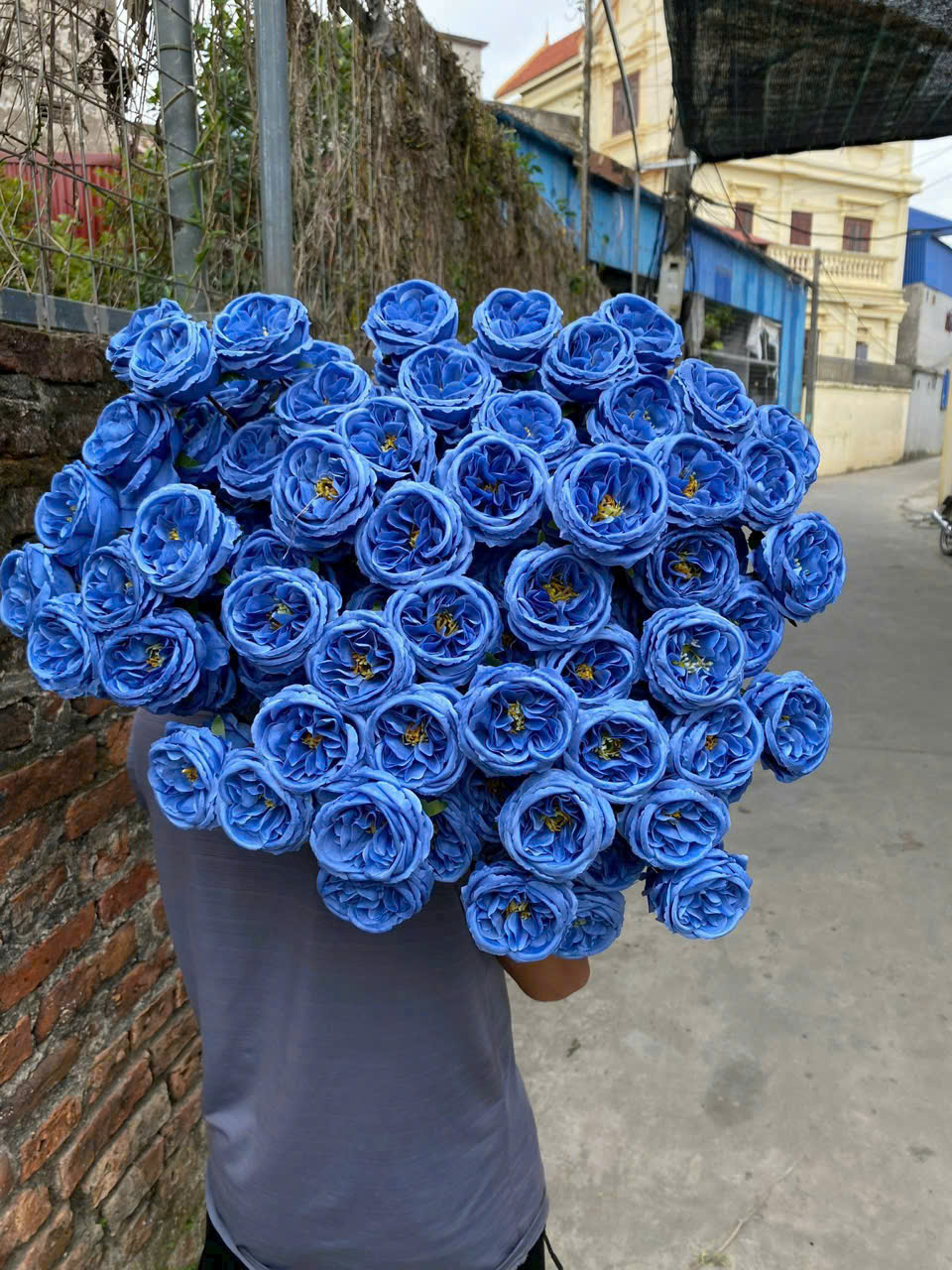 Cành hồng david 3b giá 11k_thumbnail_3