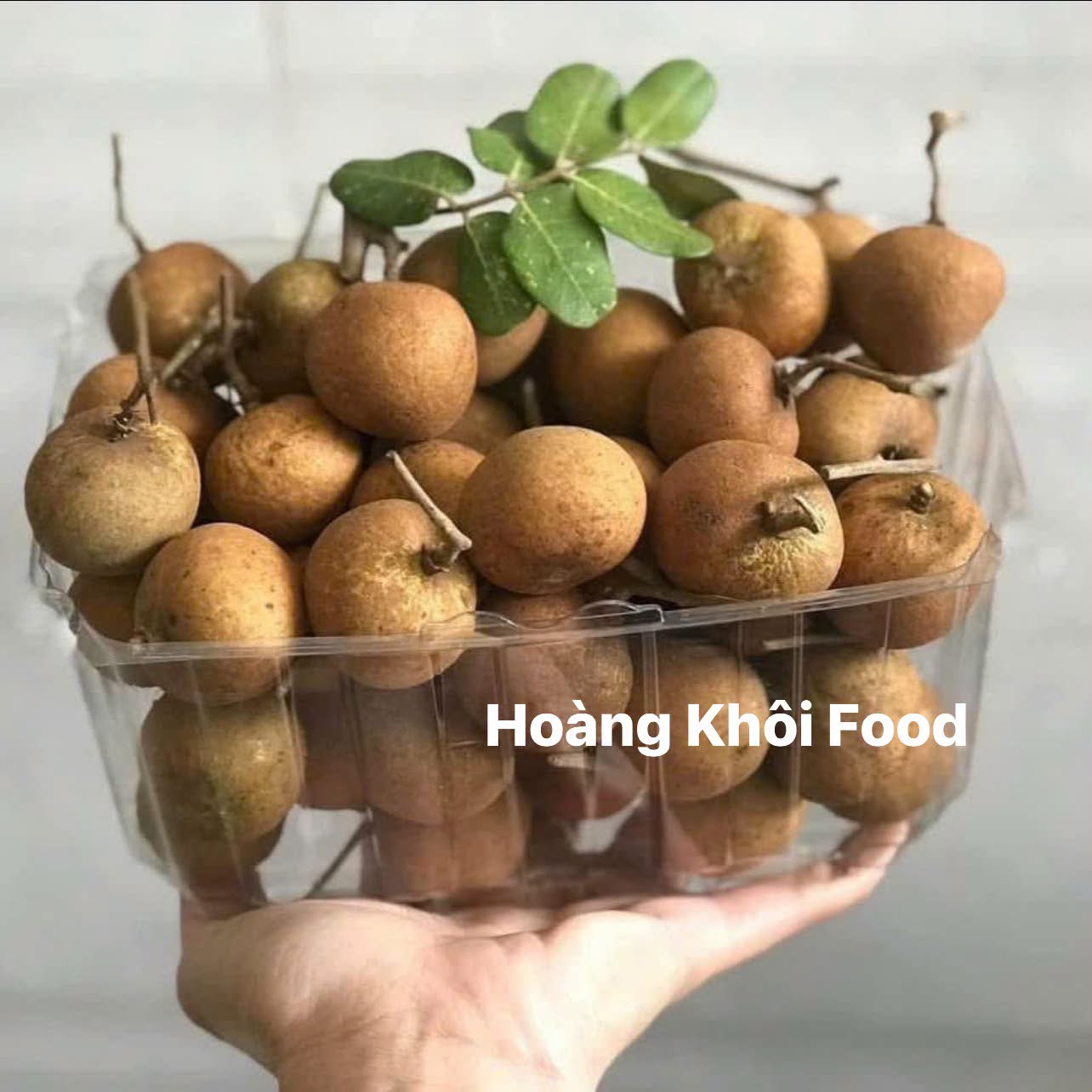 Nhãn Bắp Cải_thumbnail_7
