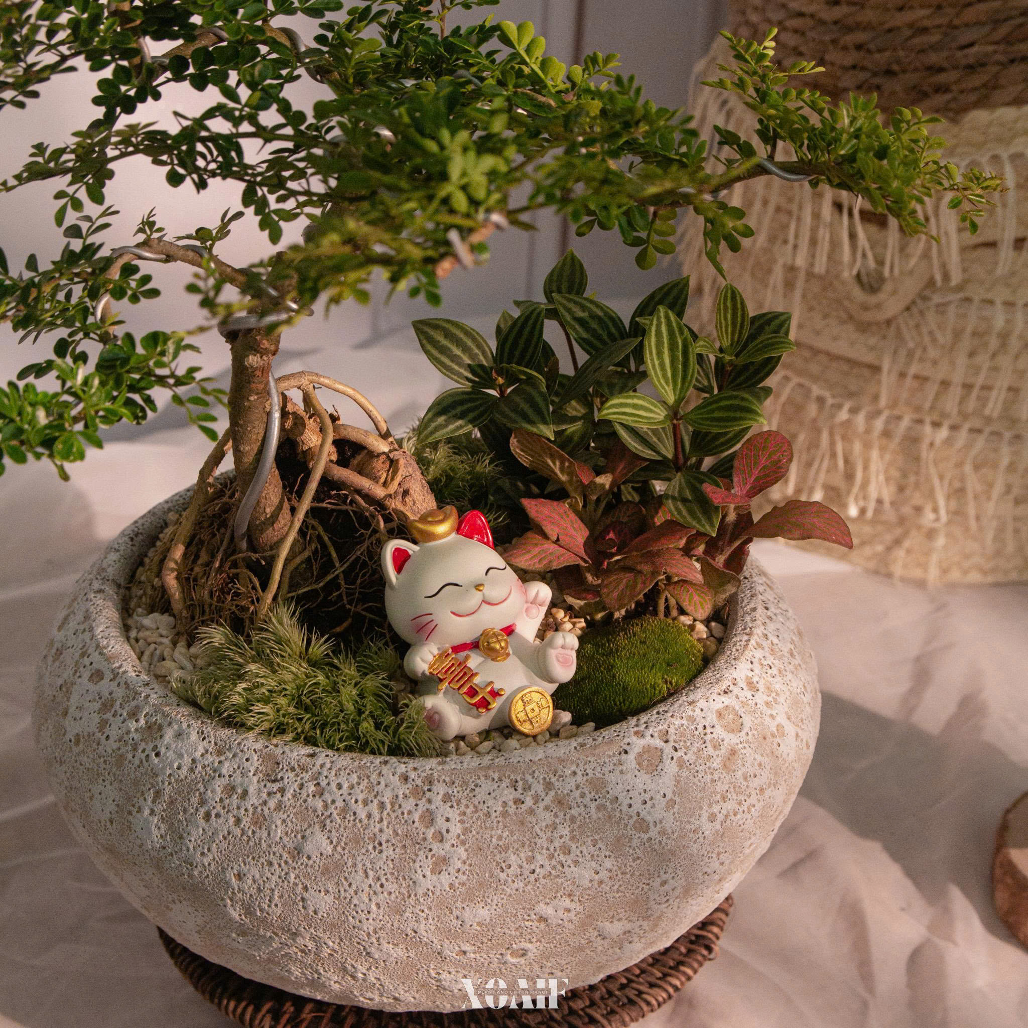 SET MIX CẦN THĂNG CHẬU TRÒN MEN XÔI_thumbnail_3