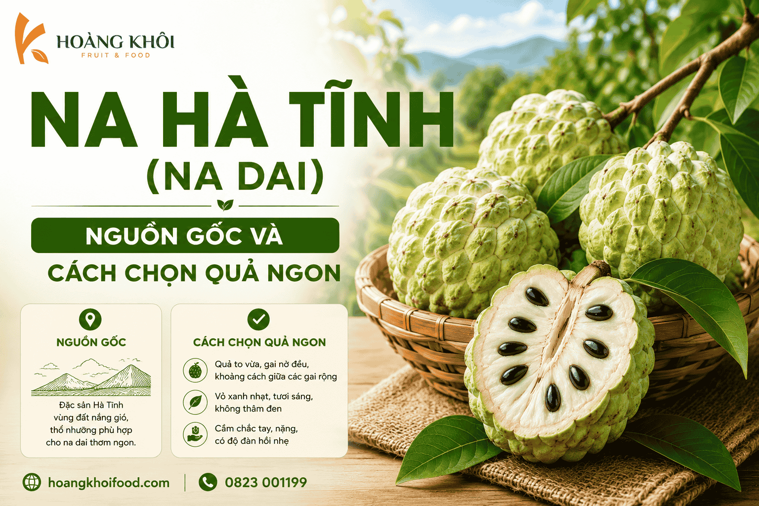 Na Hà Tĩnh (na dai) – Nguồn gốc và cách chọn quả ngon