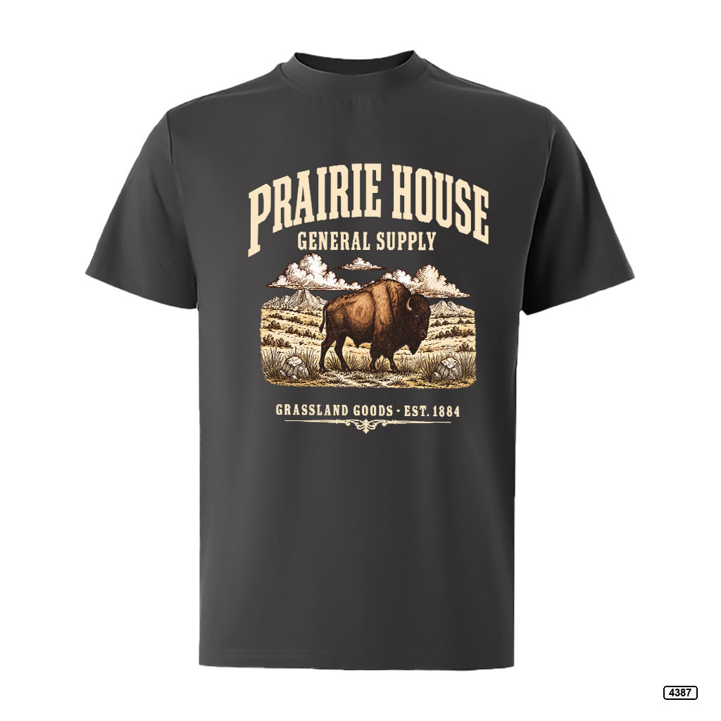 Áo thun nam Prairie House Buffalo form rộng vintage TeePrint 4387_thumbnail_13