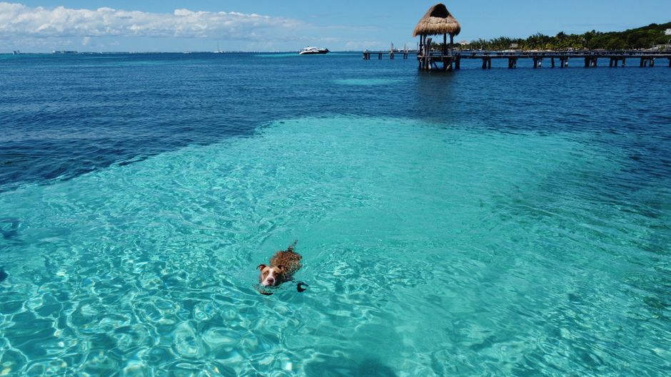 Isla Mujeres en un día: qué esperar y qué llevar