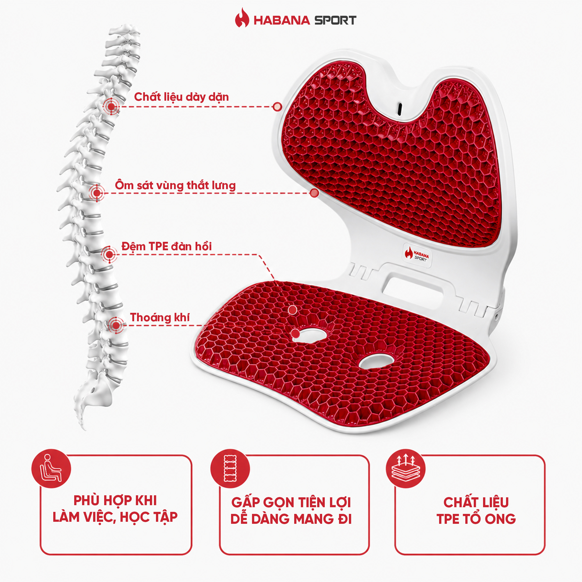 Ghế giảm đau lưng chống gù Habana Sport Chính Hãng SIZE Lớn _thumbnail_4