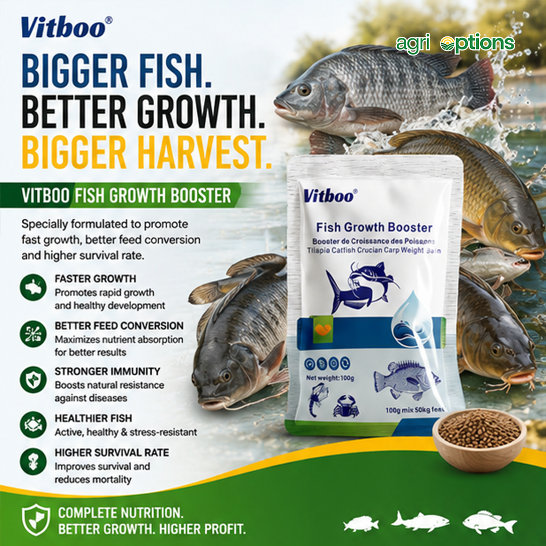 Vitboo Fish Growth Booster_thumbnail_8