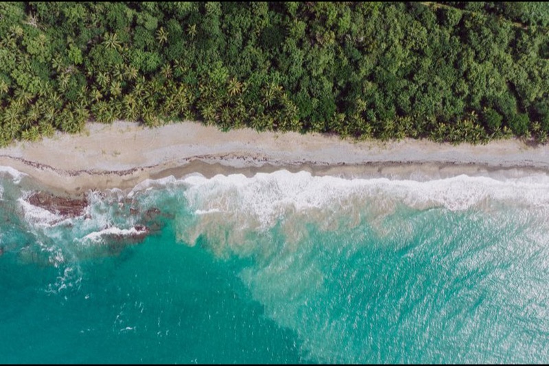 Playa de arena blanca y agua turquesa con palmeras en Cancún