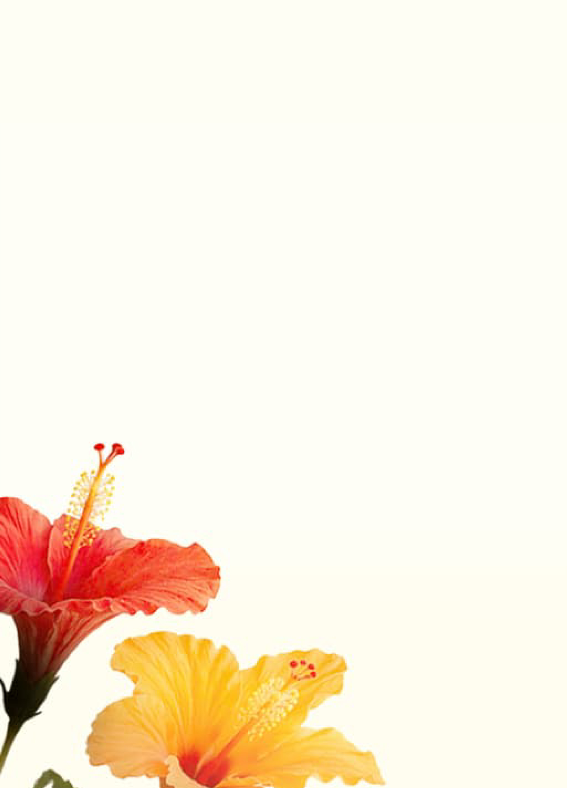 bg123a(1)