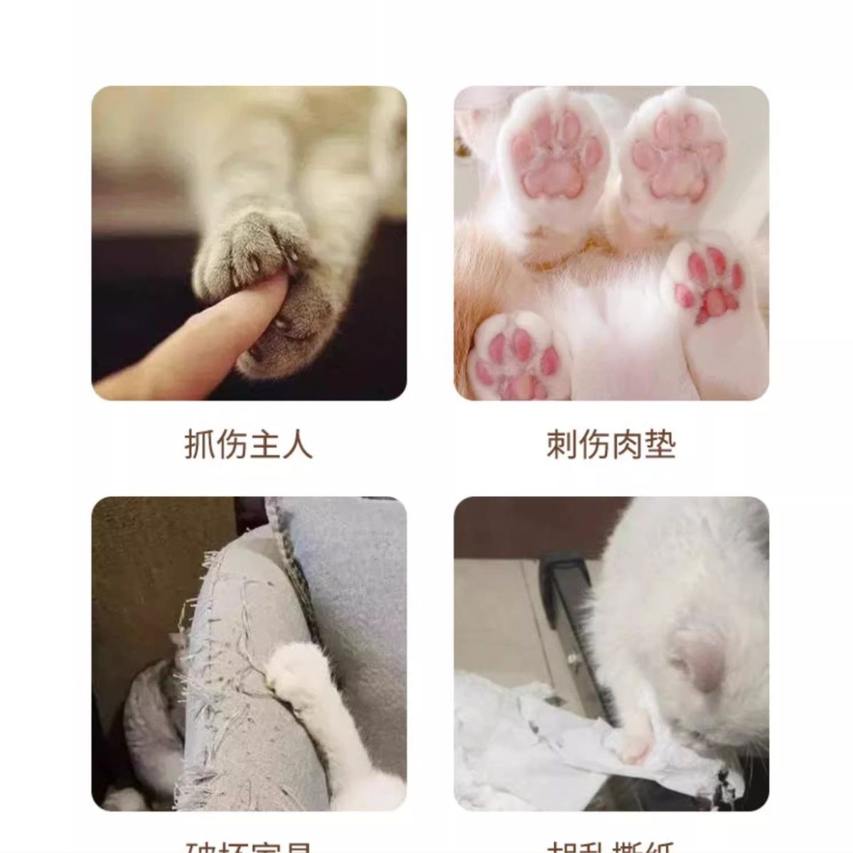 Bàn cào móng tròn cho mèo_thumbnail_3