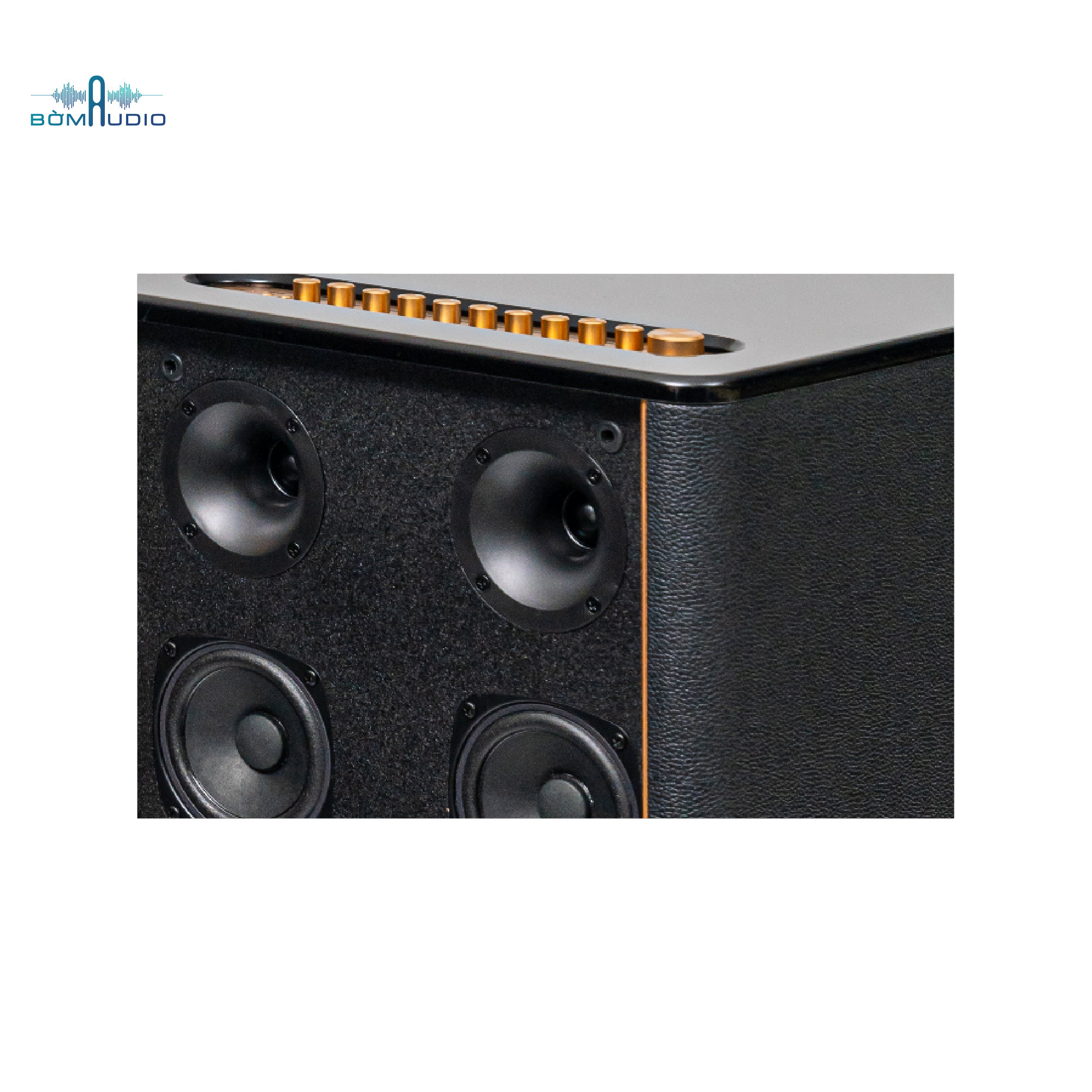 Loa Hifi Karaoke Di Động KADMA KF990_thumbnail_21