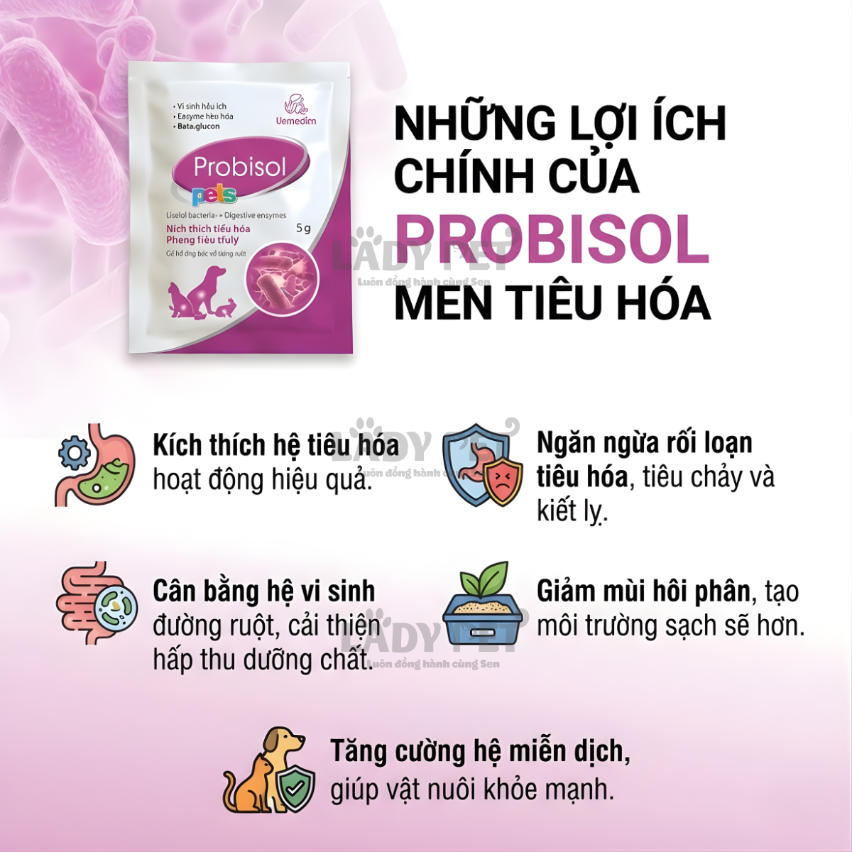 Men Tiêu Hóa Probisol Cho Chó Mèo (5G)_thumbnail_6