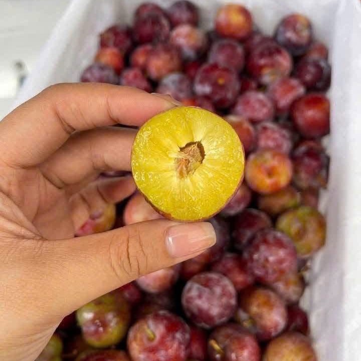 Mận Mật Ong_thumbnail_1