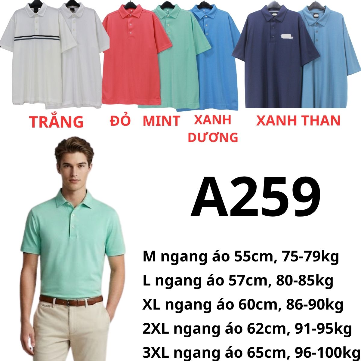 A259 ÁO POLO NAM XỊN