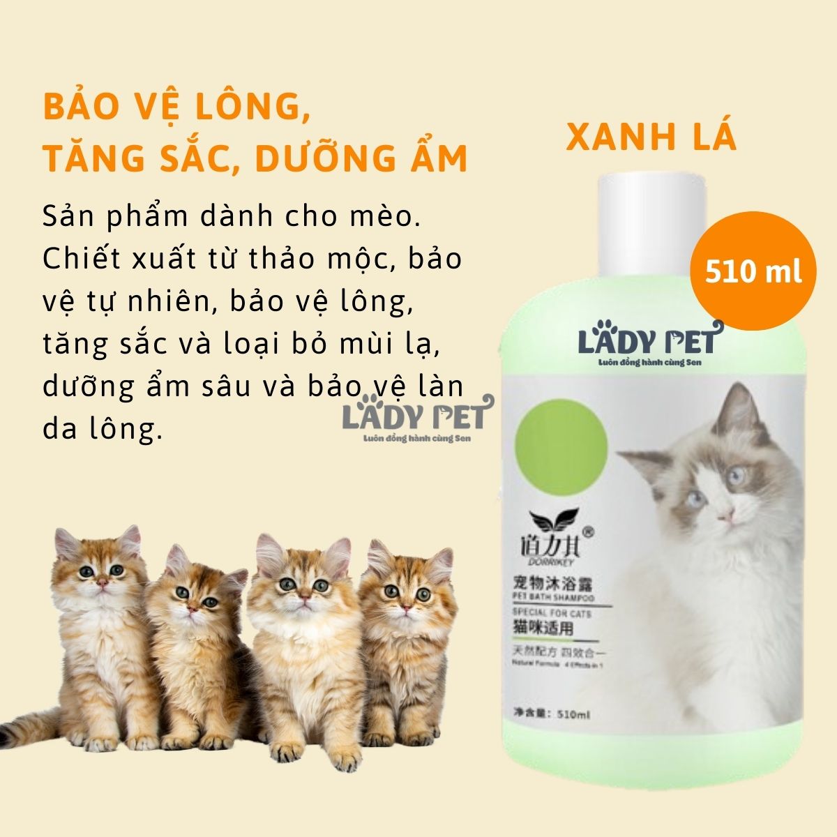 Sữa tắm Dorrikey (510ml)_thumbnail_7