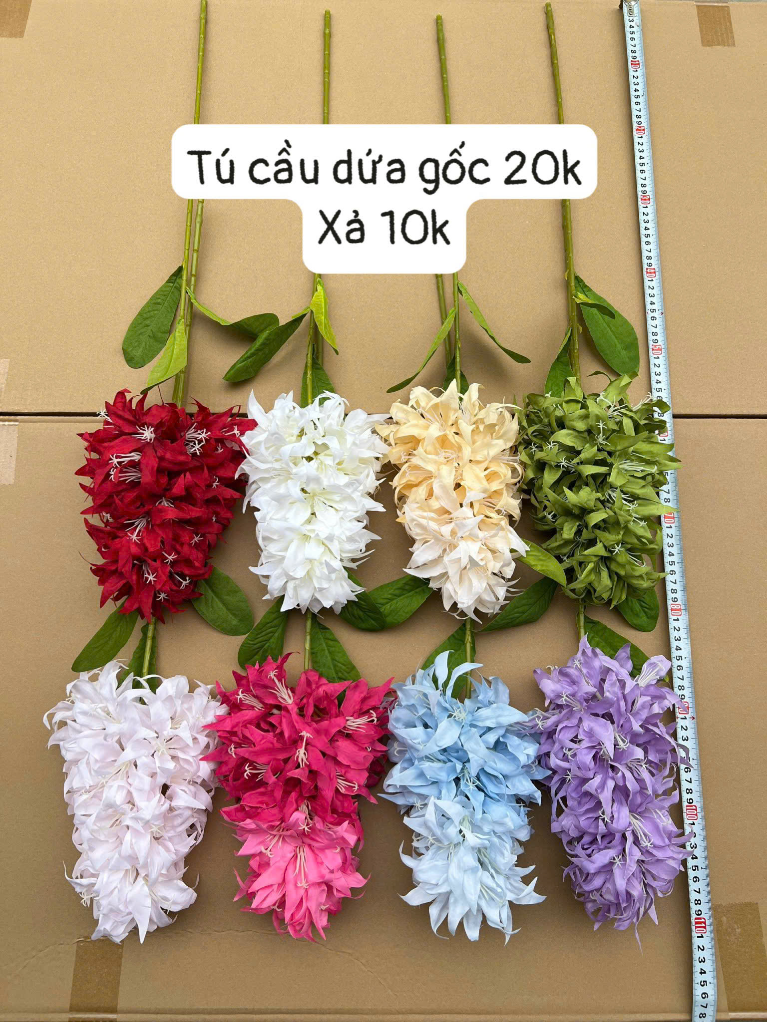 TÚ CẦU DỨA 11K_thumbnail_3