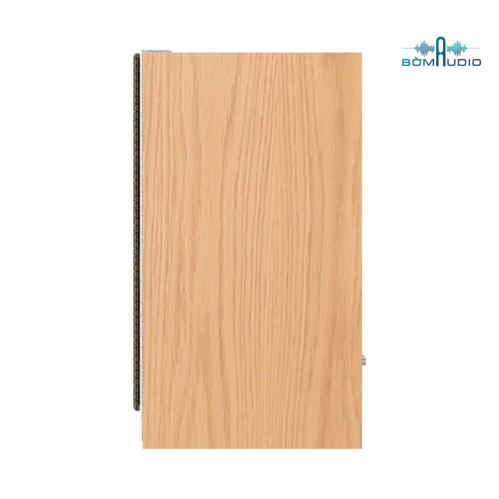 Loa Bookshelf PARAMAX EURO 801 SMART_thumbnail_3