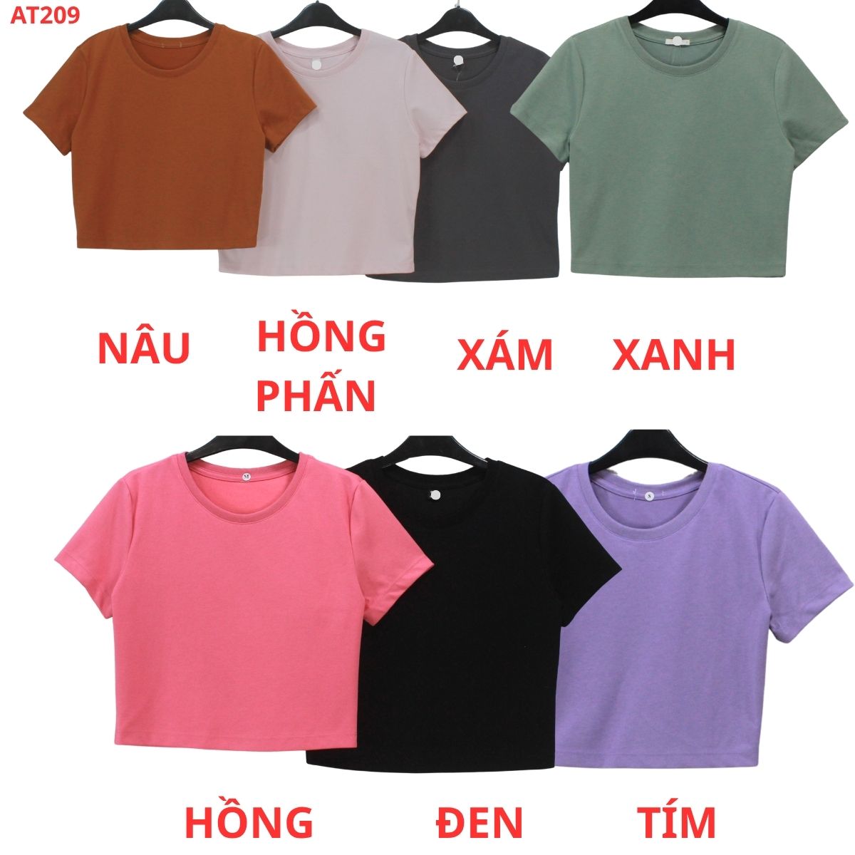AT209- Áo thun crop_thumbnail_2