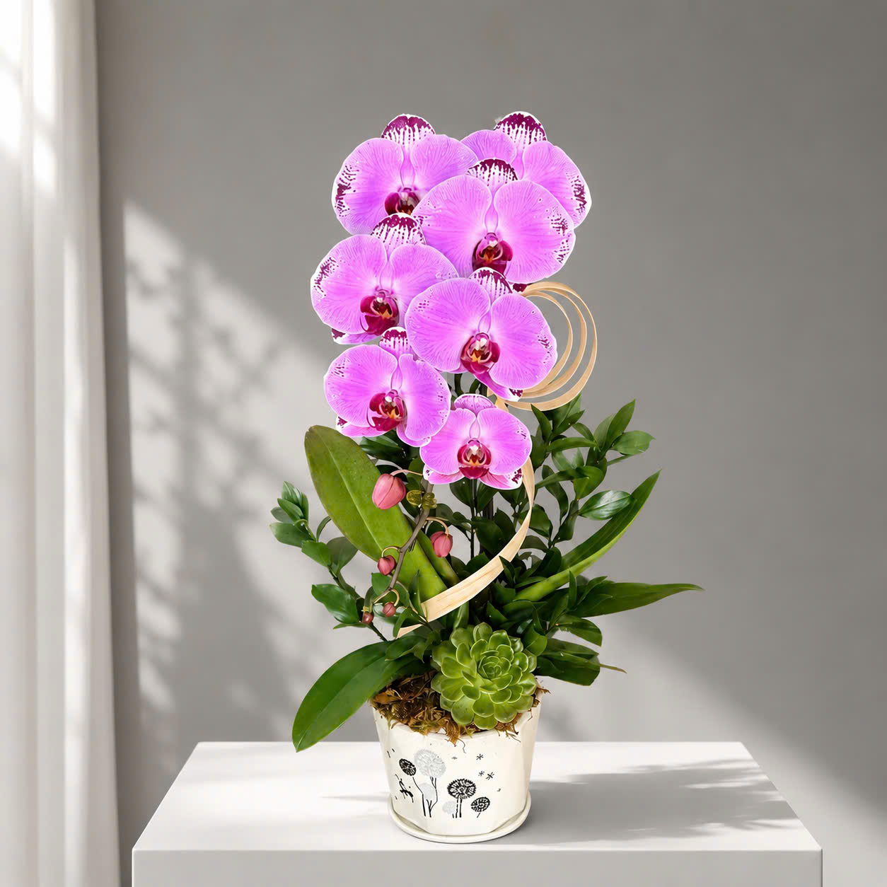 🌸 Chậu Lan Hồ Điệp Tươi 1 Cành Hồng Tím – Thanh Nhã, May Mắn Và Bình An