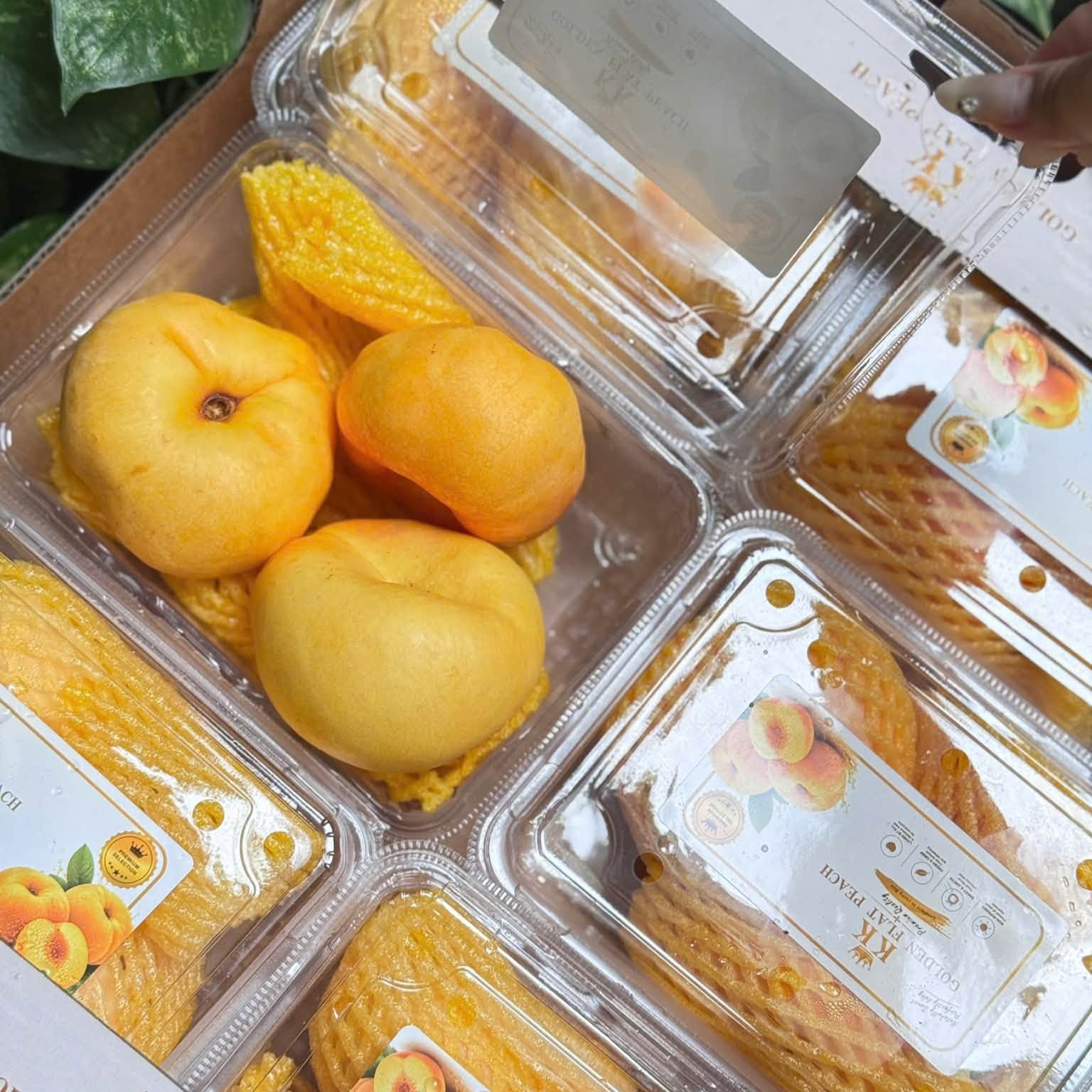 Đào Dẹt Bánh Rán_thumbnail_2