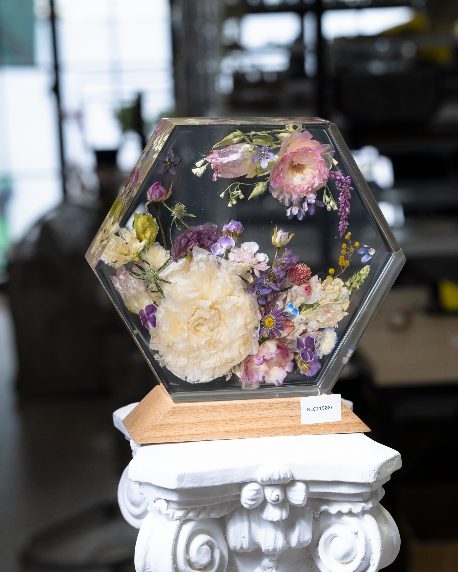 Đèn hoa khô Bloomlight BLC11508H