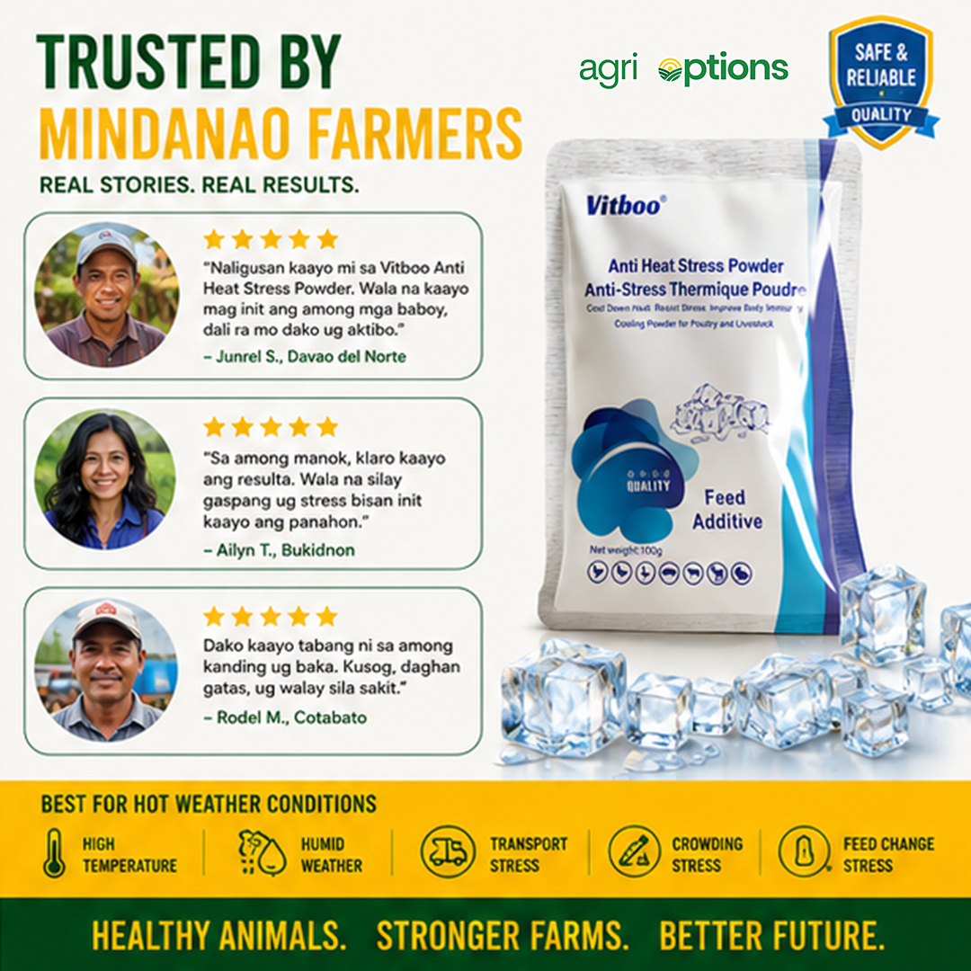 Vitboo Anti Heat Stress Powder_thumbnail_6