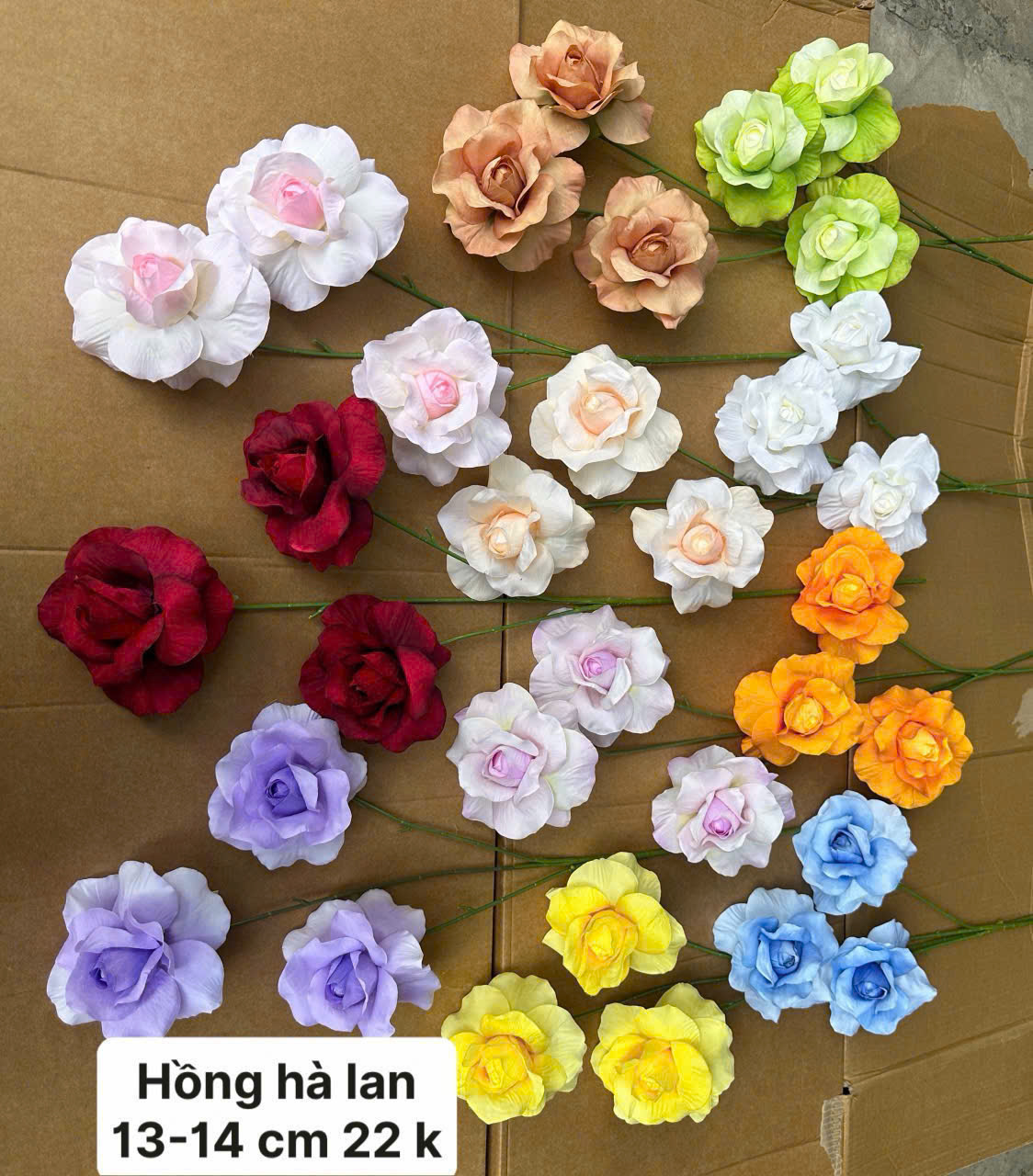 HỒNG HÀ LAN 22K_thumbnail_2
