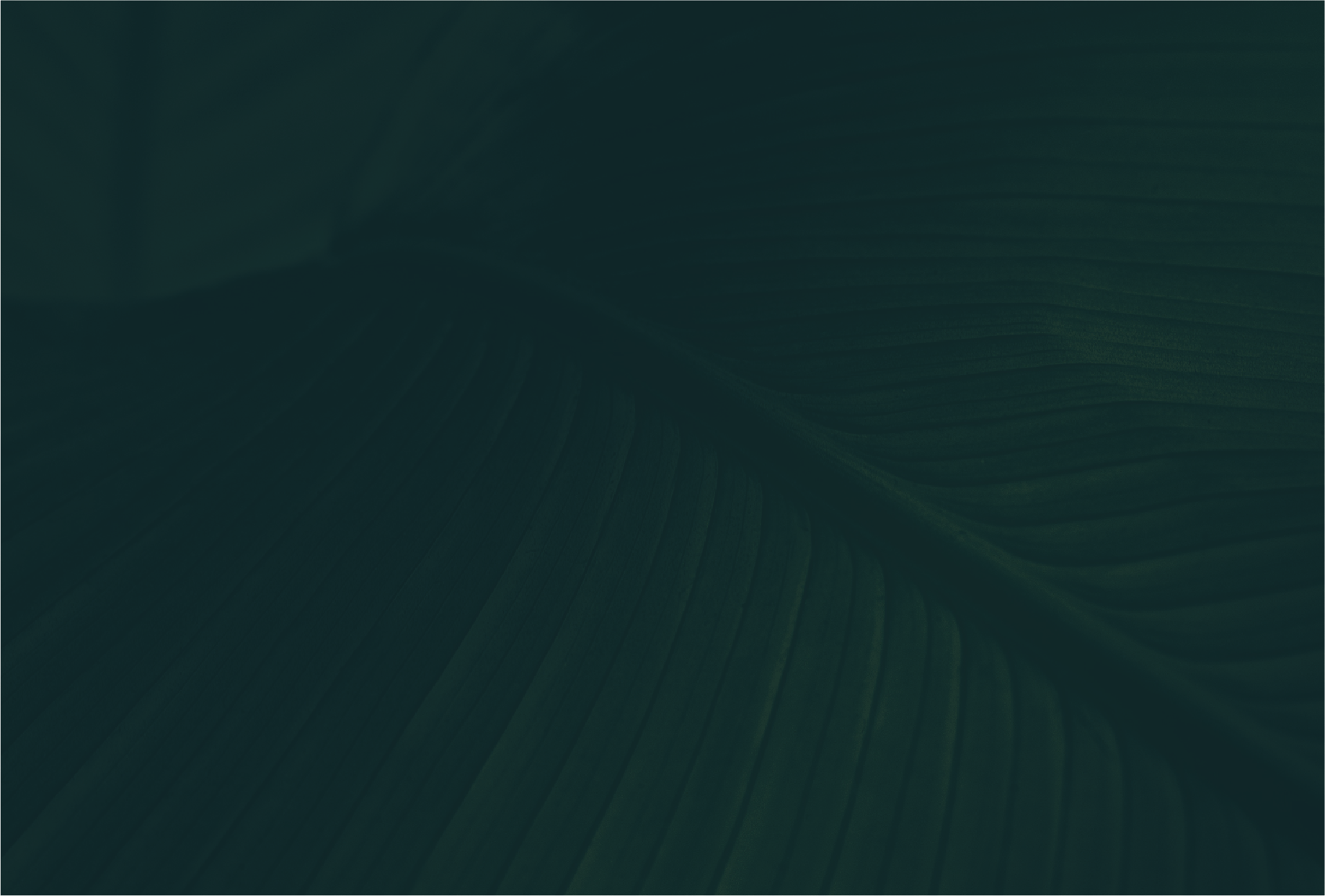 Asset 18