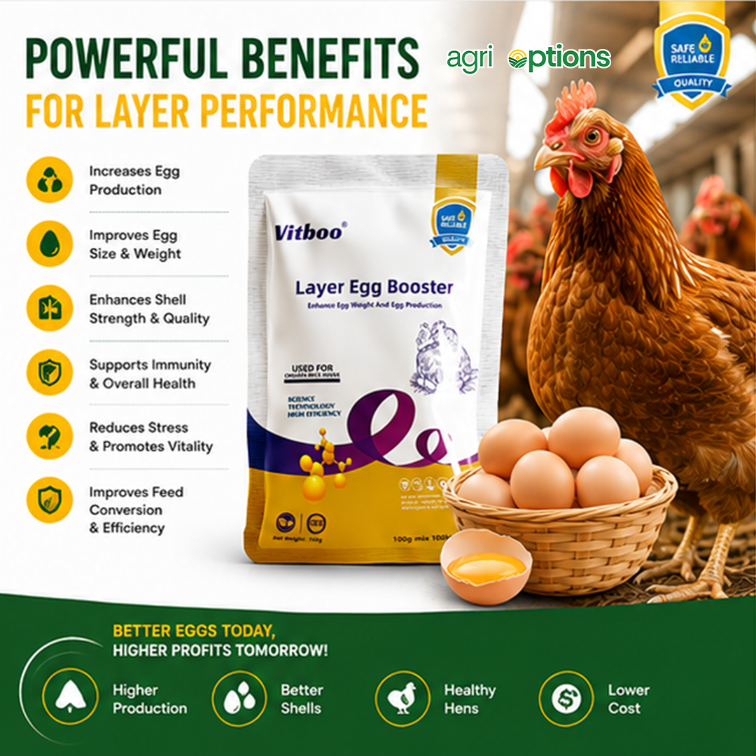 Layer Egg Booster_thumbnail_4