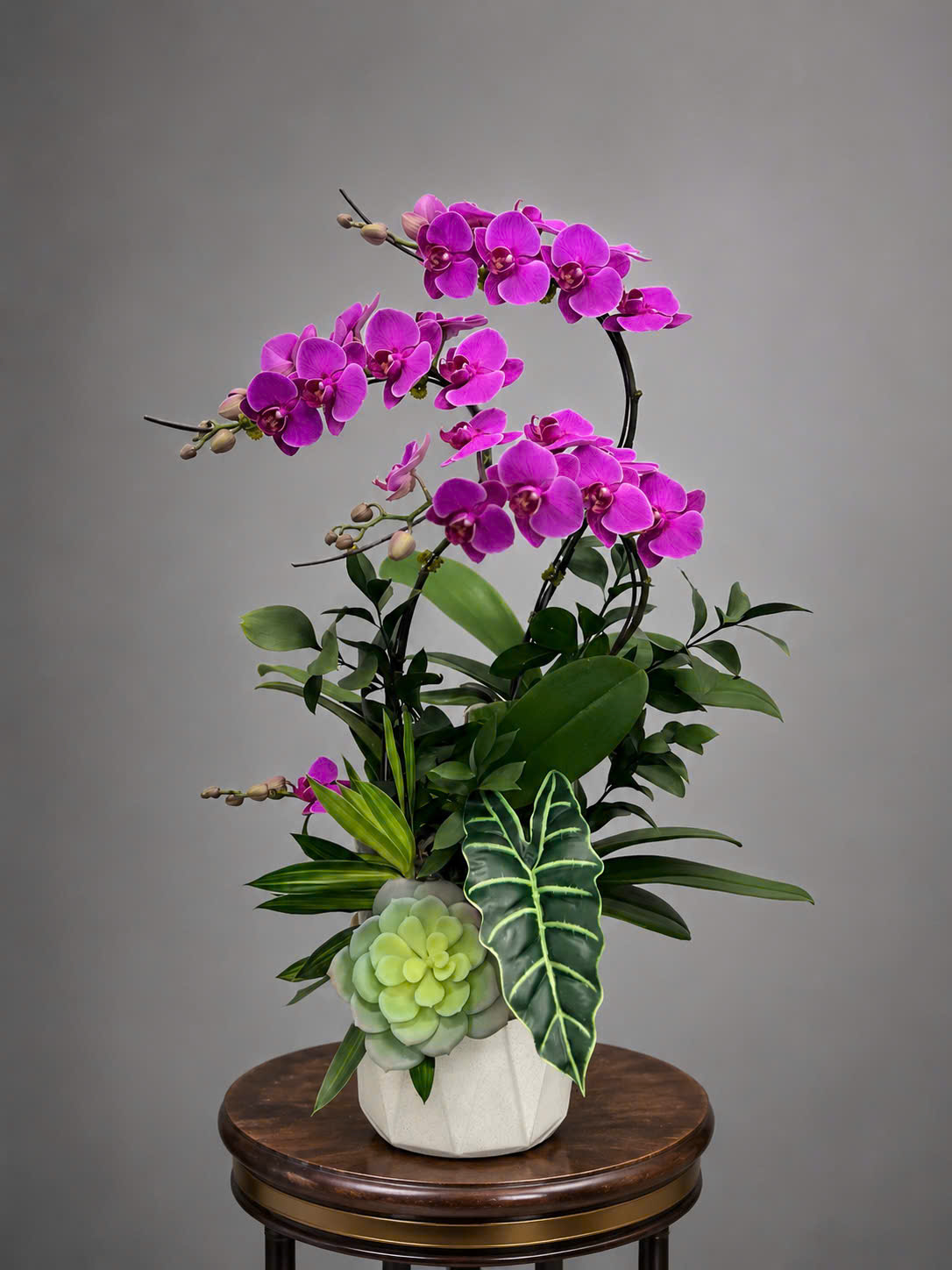 🌸 Chậu Lan Hồ Điệp Tươi 3 Cành Tím Mini – Vẻ Đẹp Thanh Lịch Cho Mọi Không Gian