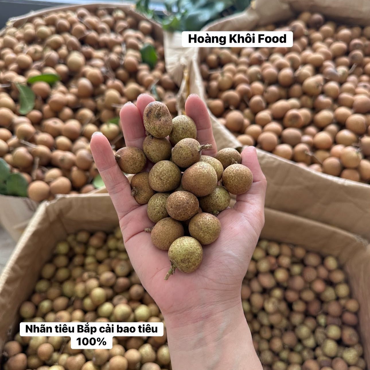 Nhãn Bắp Cải_thumbnail_0