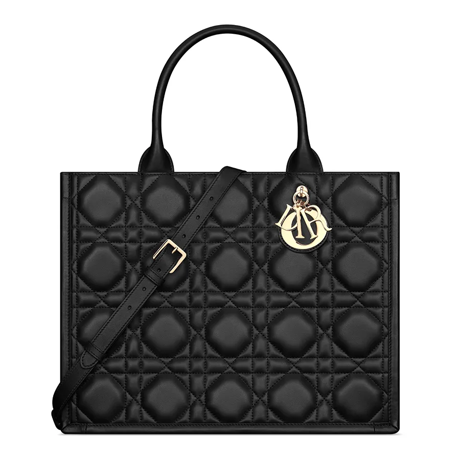 Dior Medium Book Tote