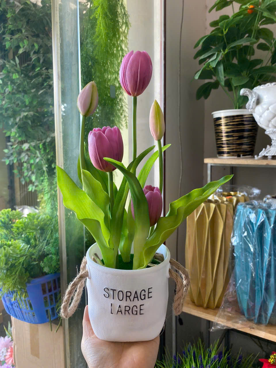 CHẬU TULIP 90K_thumbnail_5