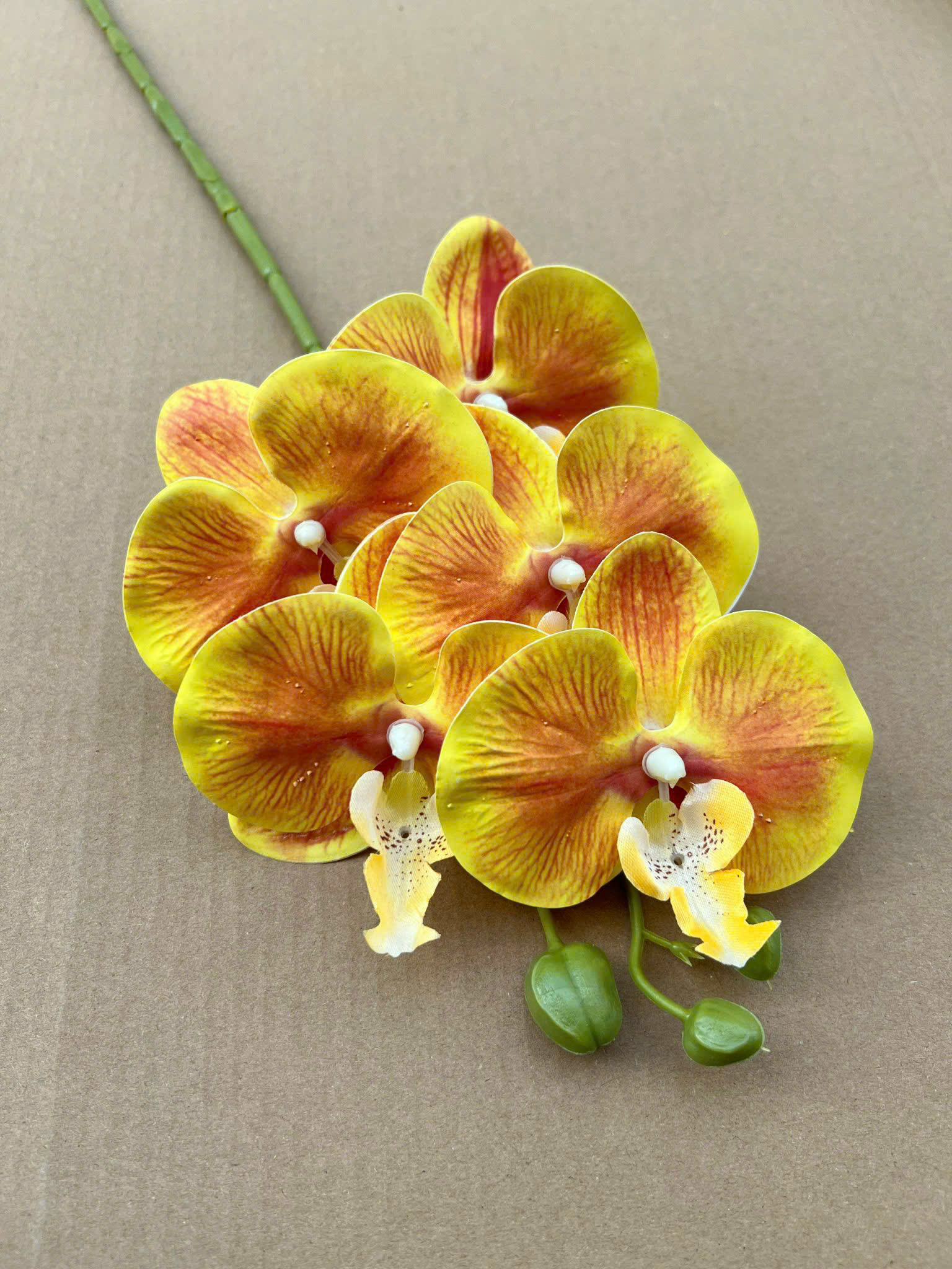 LAN THƯỜNG 5B CÁNH CAO SU 12K/1 CÀNH