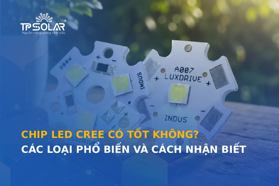 Chip LED Cree có tốt không? Các loại phổ biến và cách nhận biết