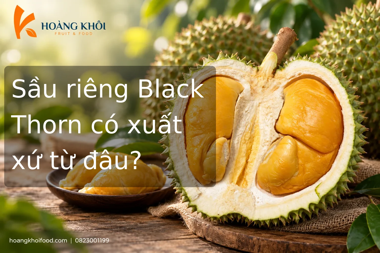 Sầu riêng Black Thorn có xuất xứ từ đâu?