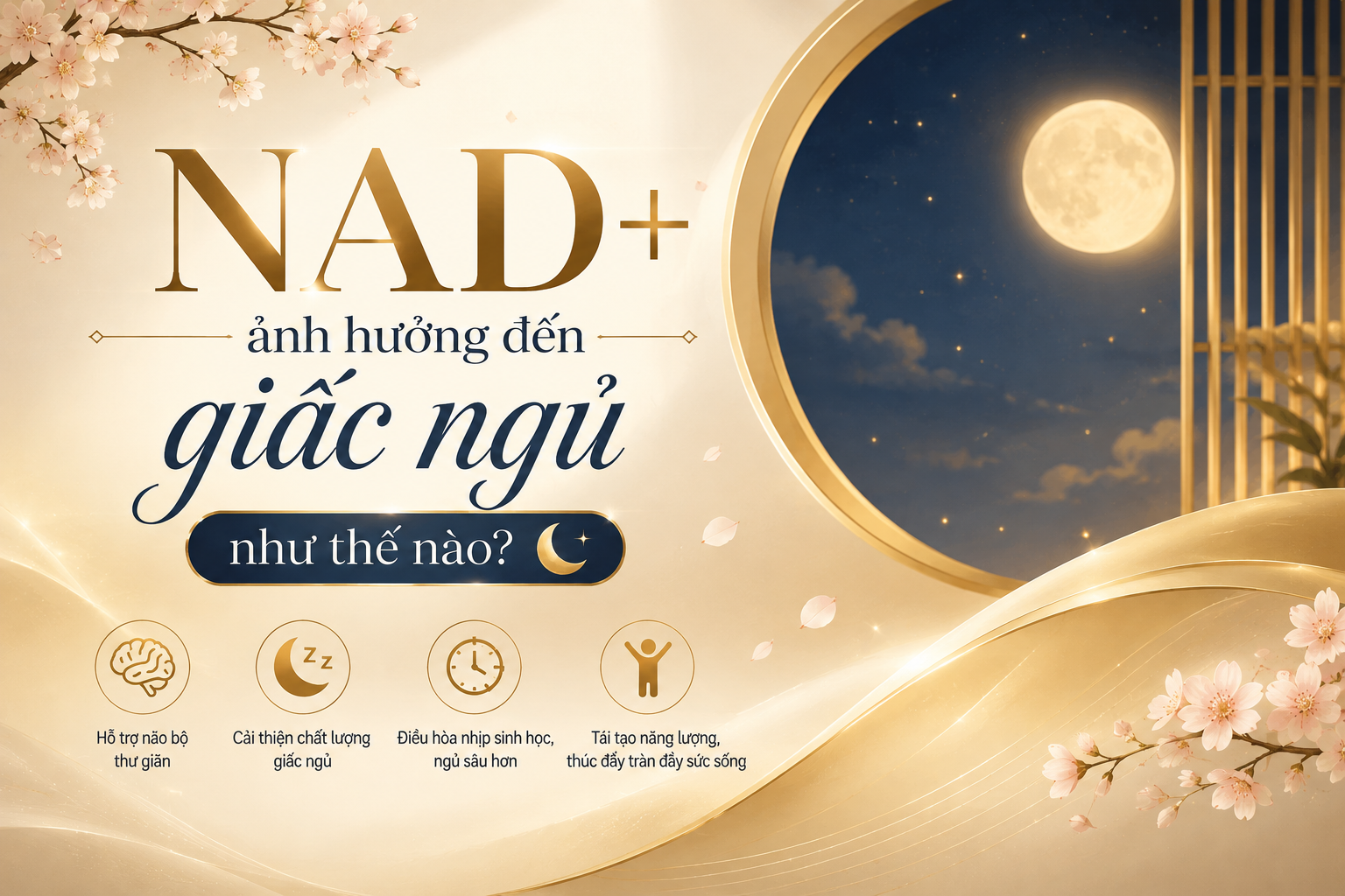 NAD+ ảnh hưởng đến giấc ngủ như thế nào?