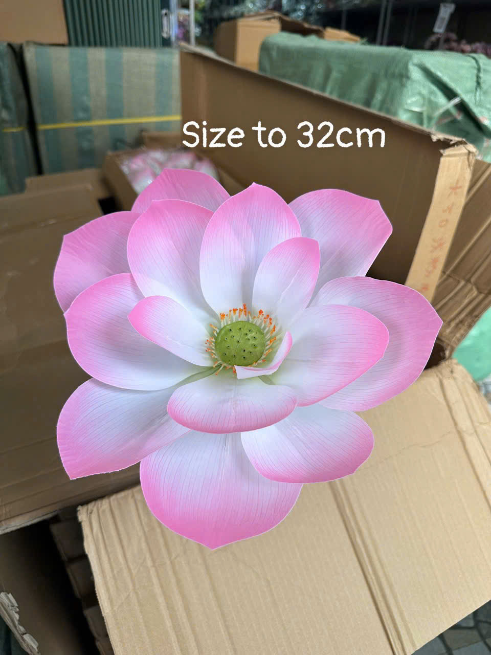 SEN CAO SU 3D SIZE TO 64K_thumbnail_2