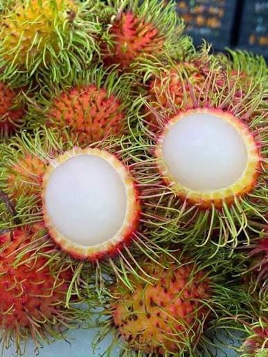 Chôm chôm Thái_thumbnail_4
