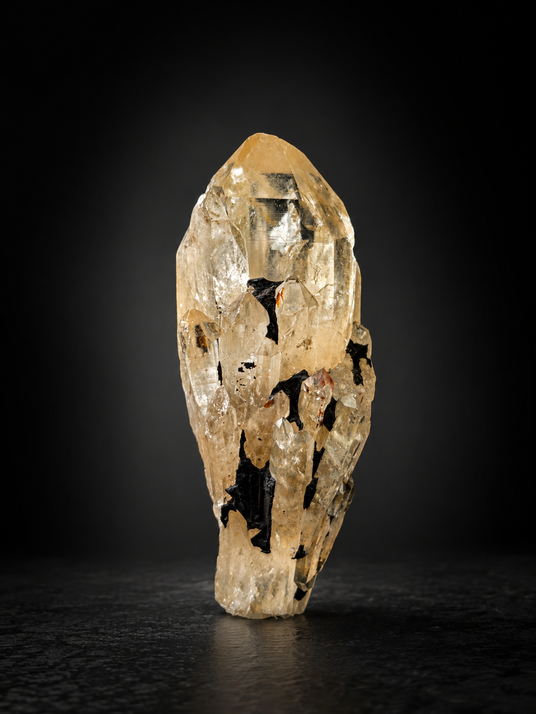[HIẾM] Tinh Thể Kundalini Citrine Thạch Anh Vàng Kundalini_thumbnail_1