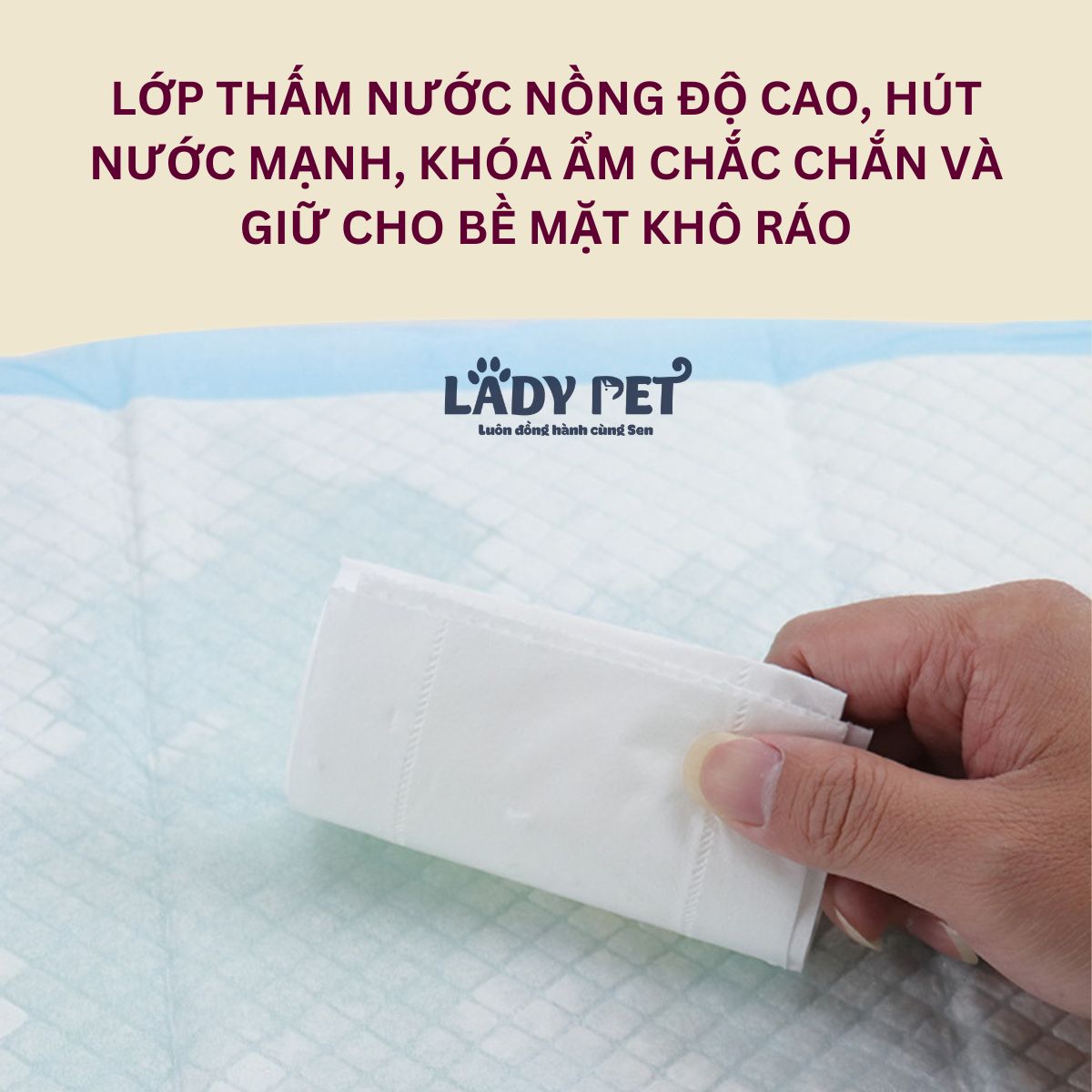 Tã lót vệ sinh cho chó mèo_thumbnail_4