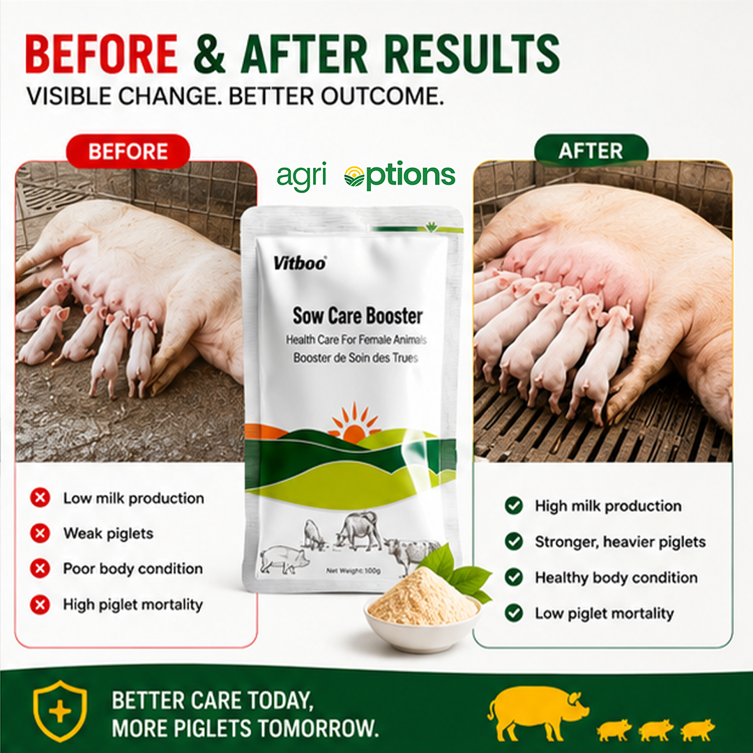 Vitboo Sow Care Booster_thumbnail_2