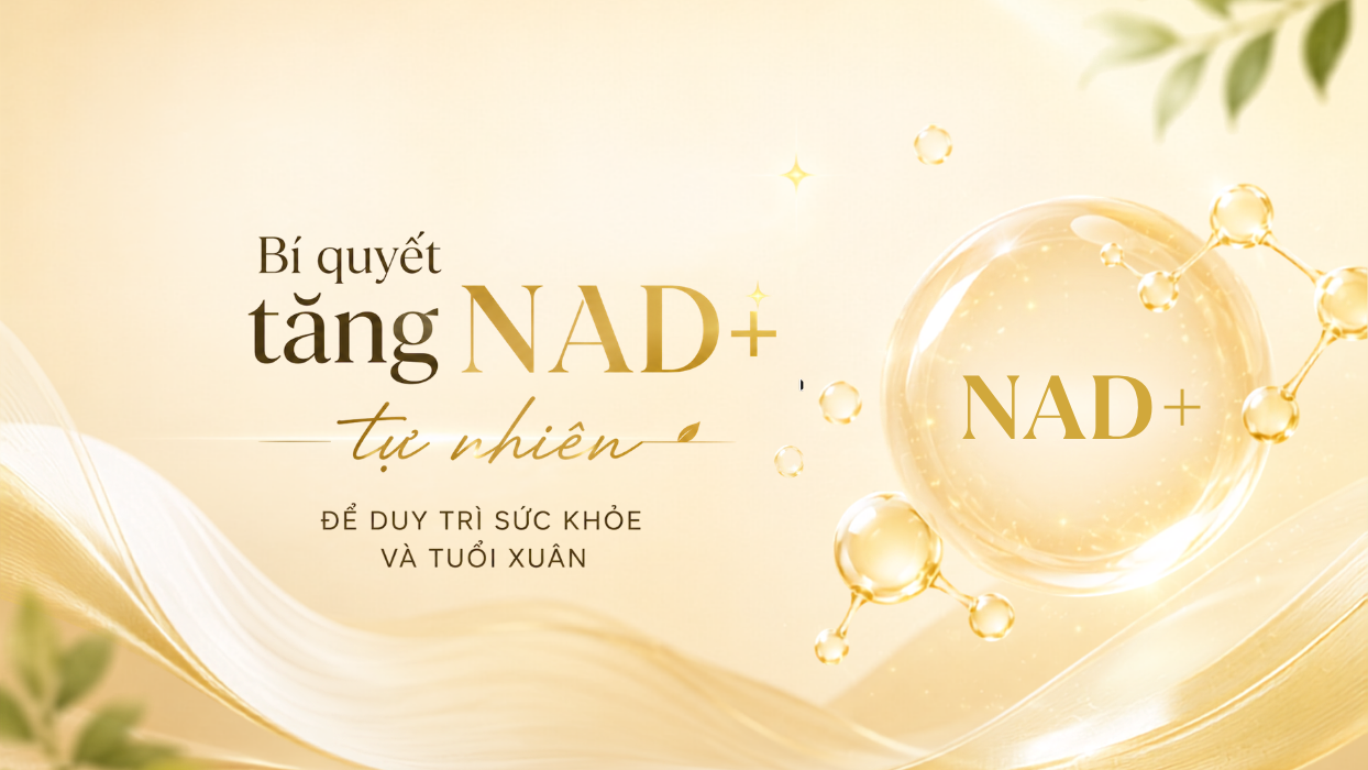 Bí quyết tăng NAD+ tự nhiên để duy trì sức khỏe và tuổi xuân
