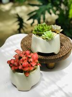 CHẬU KIỀNG BA CHÂN_thumbnail_1